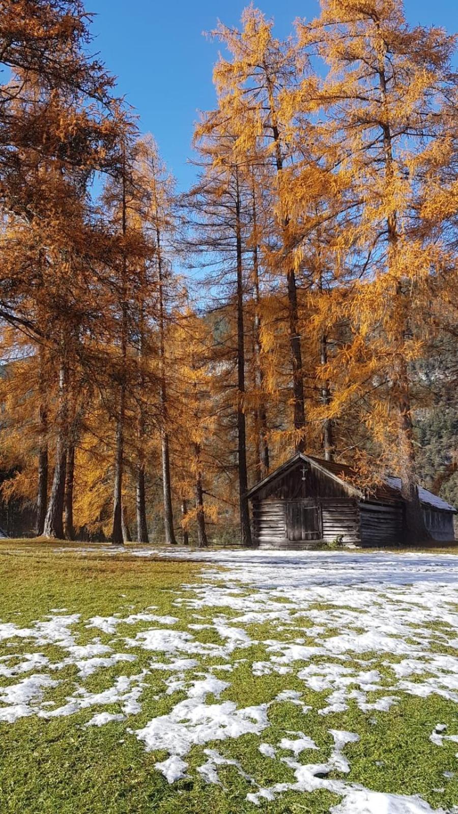Chalet Am See 那塞雷思 外观 照片