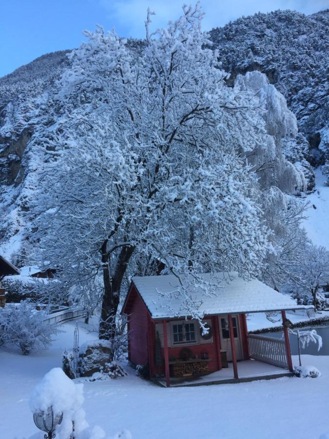 Chalet Am See 那塞雷思 外观 照片